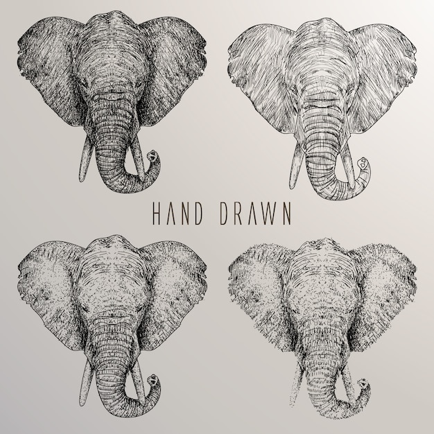 Download Elephant Head Vectors, Photos and PSD files | Free Download