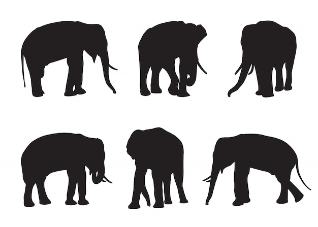 Download Elephant set silhouettes on the white background Vector ...