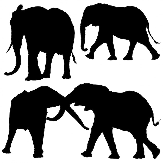 Download Elephant silhouette set Vector | Premium Download
