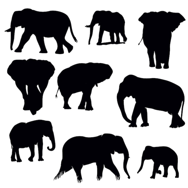 Download Elephant silhouette set | Premium Vector