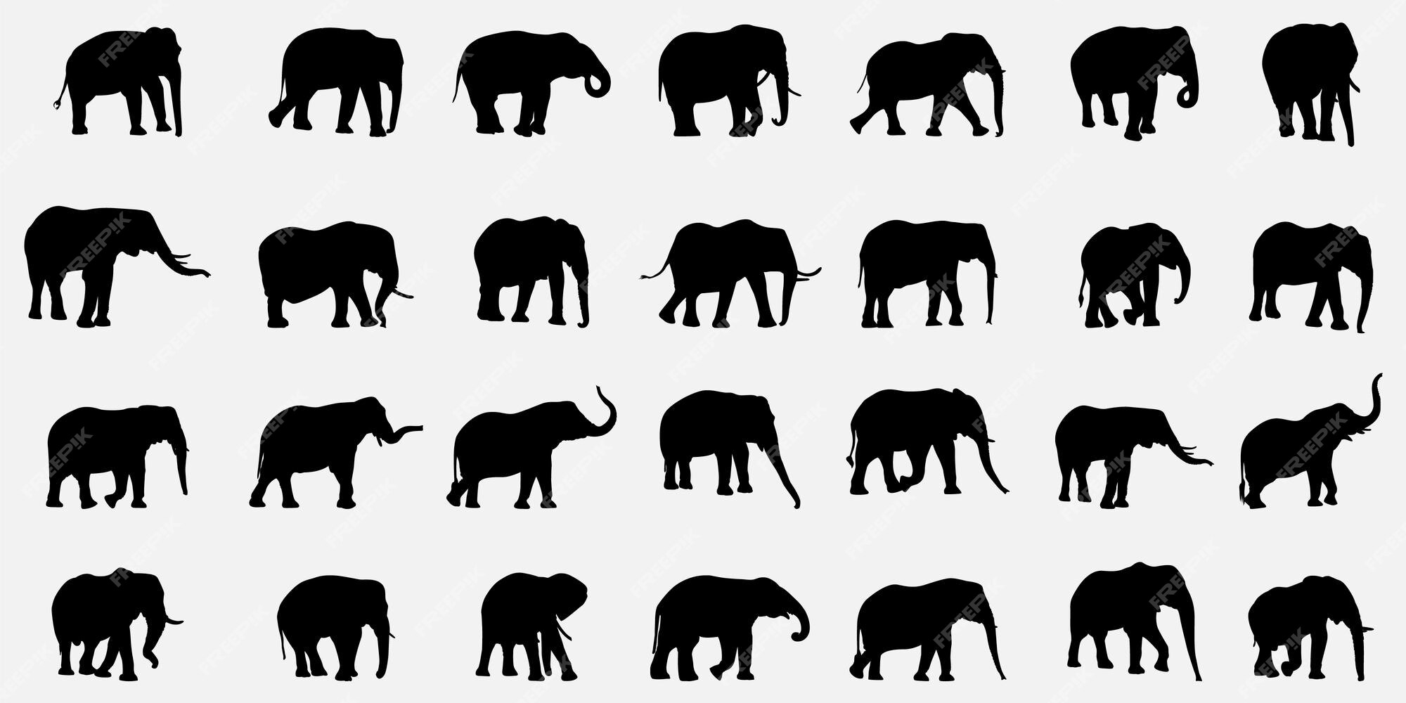 Premium Vector | Elephant vector silhouettes design