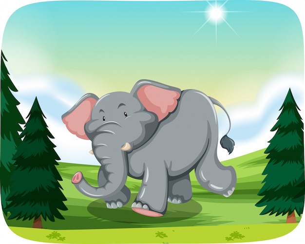 Premium Vector | Elephant in woods scene