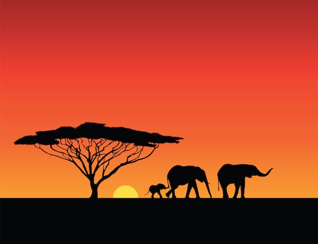 Premium Vector | Elephants silhouettes, sunset illustration