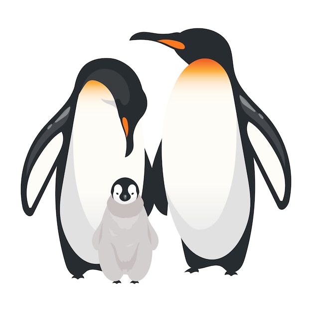 皇帝ペンギンフラットカラーベクトルイラスト ひよこと飛べない成鳥 南極の海洋品種 北極の生き物グループ分離の漫画のキャラクター プレミアムベクター