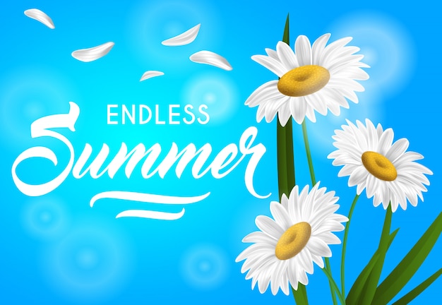Endless summer seasonal banner with chamomile
flowers on sky blue background.