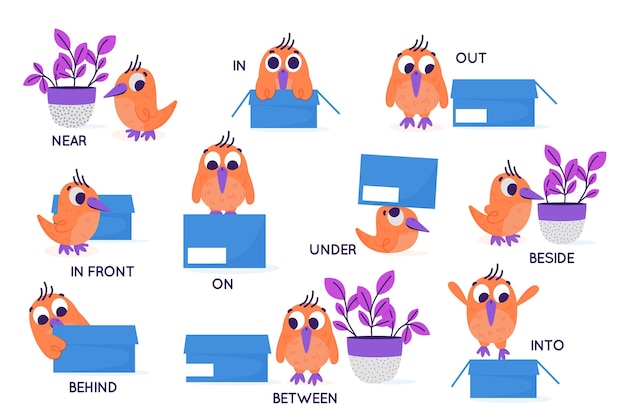 Premium Vector | English prepositions set with bird