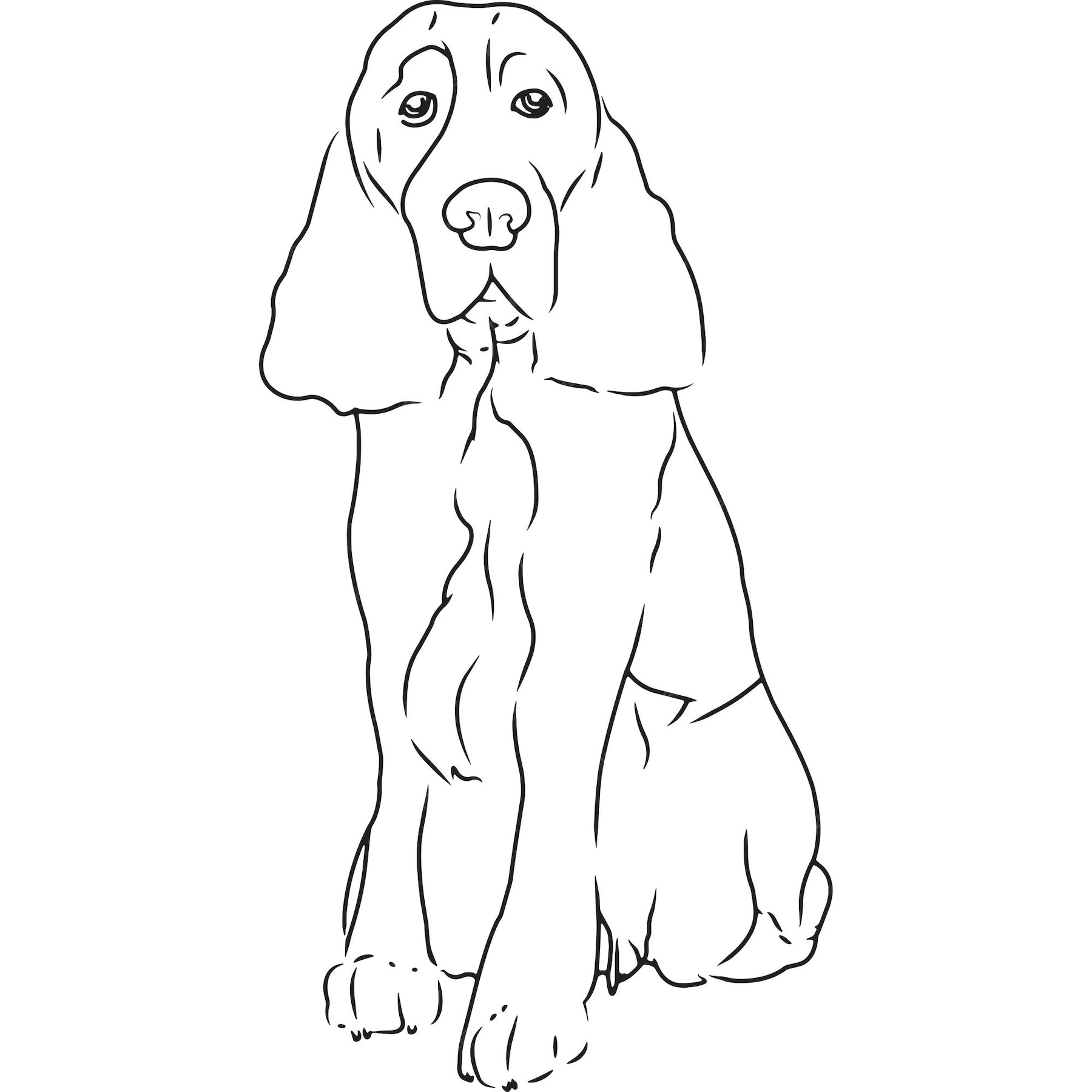 Premium Vector | English springer spaniel dog hand sketched vector drawing