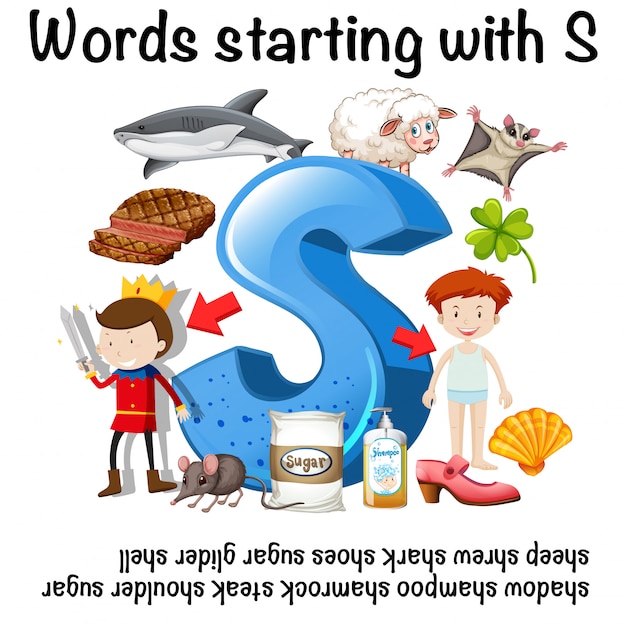 word for presentation starting with s