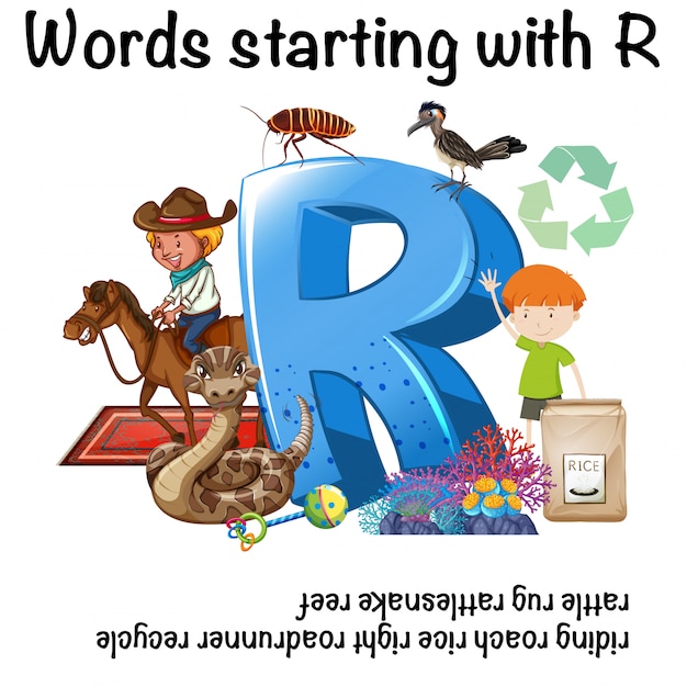 文字rで始まる英語の単語 プレミアムベクター