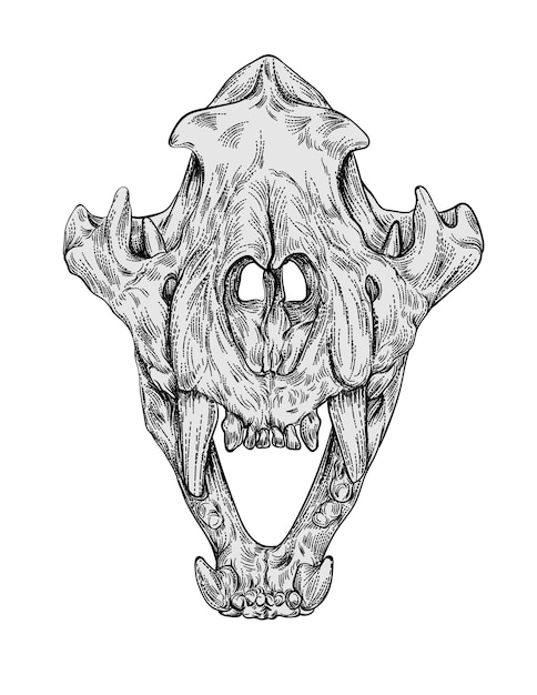 Download Premium Vector | Engraving animal skull