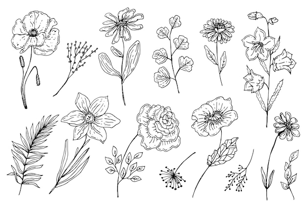 Free Vector | Engraving hand drawn flower collection