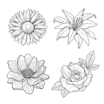 Free Vector | Engraving hand drawn flower collection
