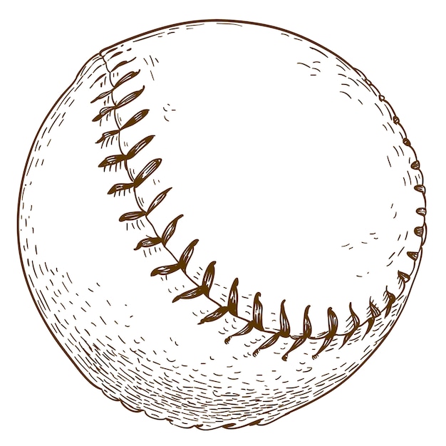 野球ボールの彫刻イラスト プレミアムベクター