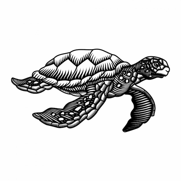 彫刻スタイルの手描きのウミガメのイラスト プレミアムベクター