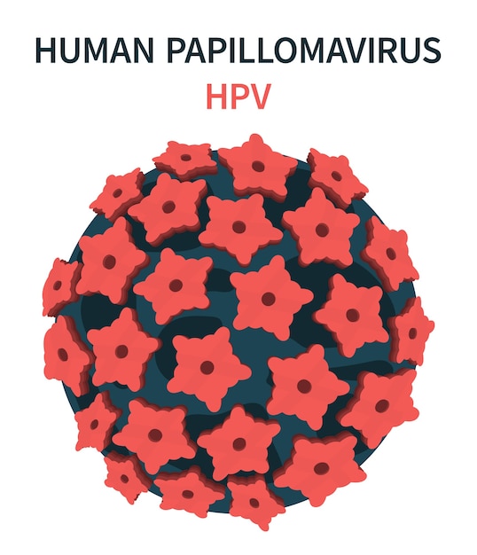 Human papillomavirus in cells - Cancerul de Col Uterin