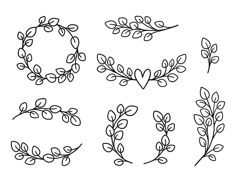 Premium Vector | Eucalyptus wreathes and borders bundle. floral frames ...