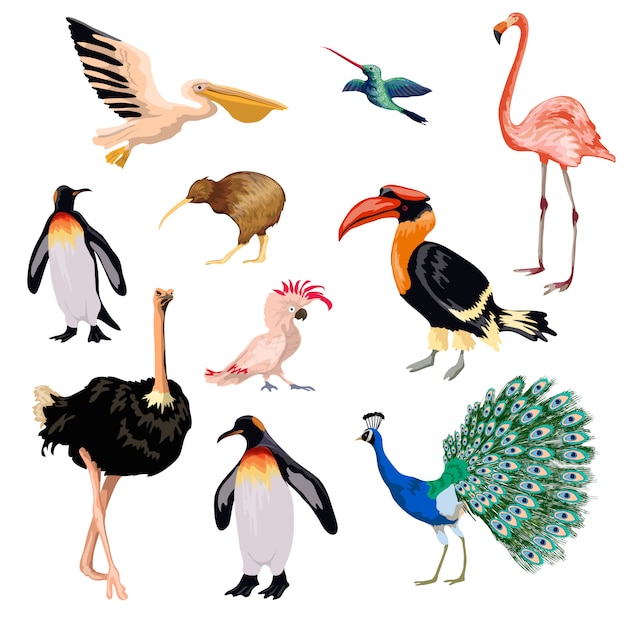 List Of Birds Names In English And Tamil