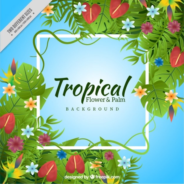Exotic flowers and leaves background