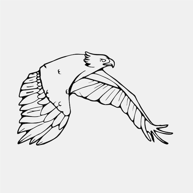 Exotic flying bird illustration