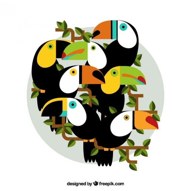 Exotic toucans in flat design
