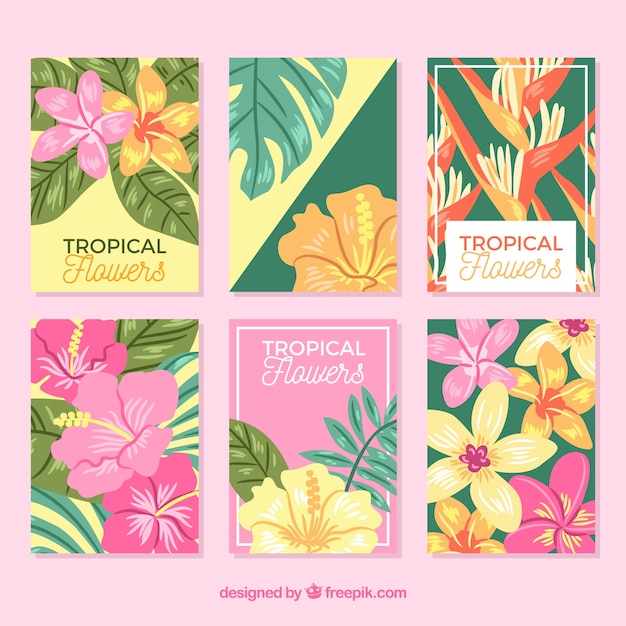 Exotic tropical flowers cards