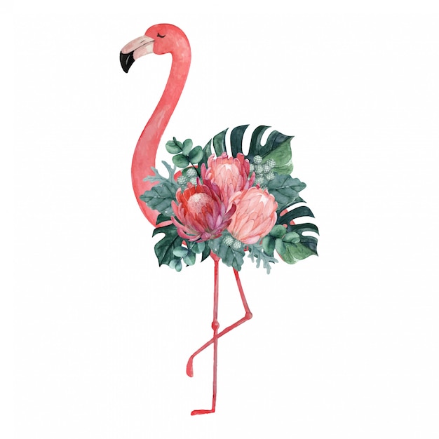 Download Premium Vector | Exotic watercolor flamingo illustration with tropical floral arrangement