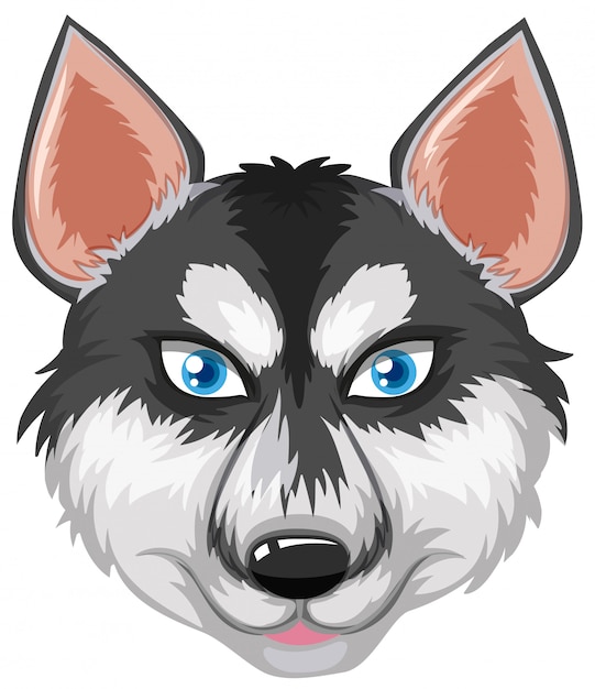 Download Face of siberian husky Vector | Free Download