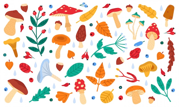 秋の植物の装飾 秋の落書きの森の葉 花 果実 キノコ 植物学秋シーズンコレクションイラストアイコンセット 秋の森の描画 枝 キノコ プレミアムベクター