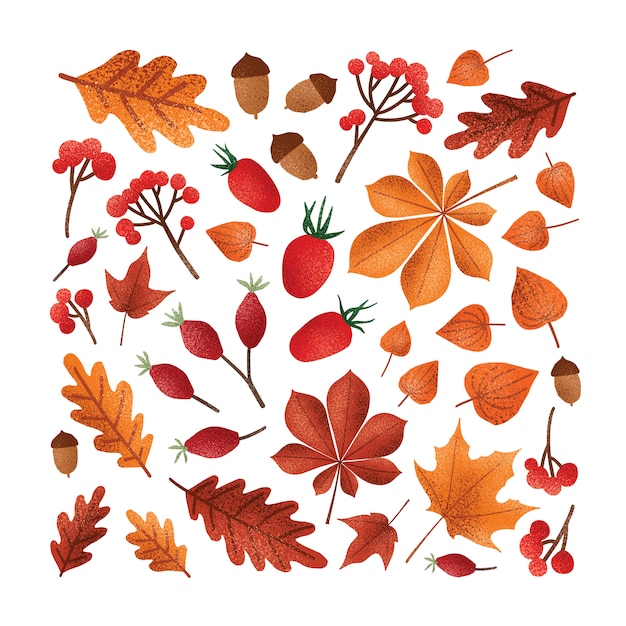倒木紅葉や乾燥した葉 ドングリ ナッツ 果実のイラスト プレミアムベクター