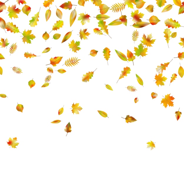 Falling autumn leaves. | Premium Vector