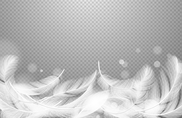 落ちる羽 透明な背景に分離された現実的な浮遊白い羽 プレミアムベクター
