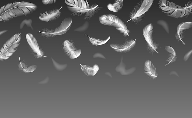落ちる羽 リアルなくるくるふわふわの羽 白いふわふわの天使の羽の羽の流れ 浮動鳥の羽の背景イラスト フローティングホワイトスワンふわふわ軽量 プレミアムベクター