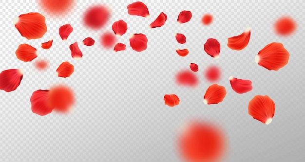 透明な背景に分離された落下の赤いバラの花びら 赤いバラの花びらのイラスト プレミアムベクター