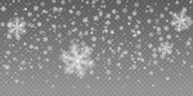 Falling white snow flake. realistic snow effect. Premium Vector