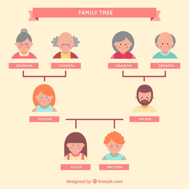 Family tree set in flat design Vector | Free Download