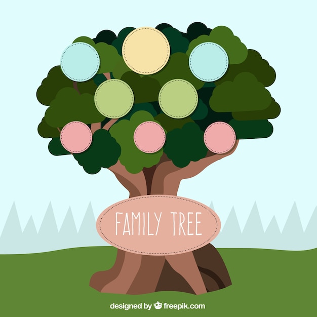 Family tree template Vector | Free Download