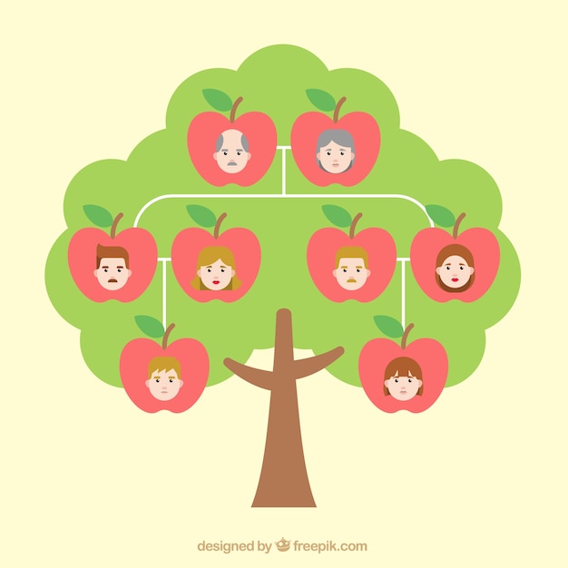 Family tree with apples