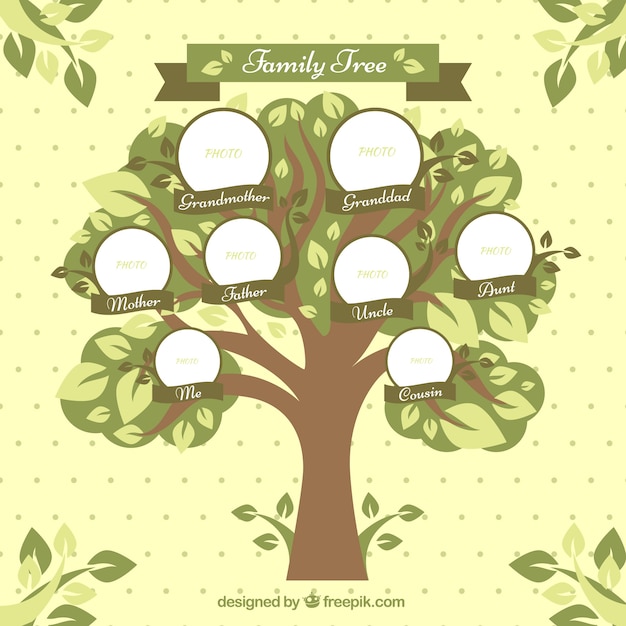 Genealogical Free Vectors Stock Photos Psd