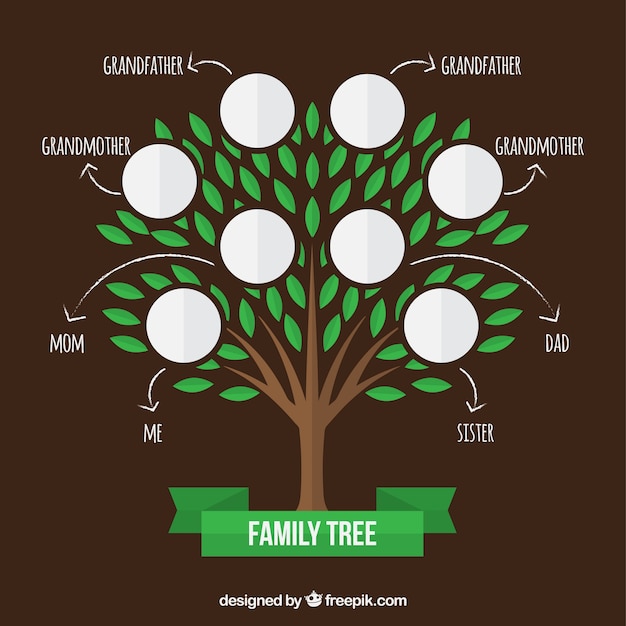 Family tree with green leaves and arrows | Free Vector