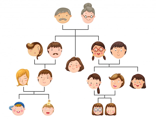 Premium Vector | Family tree