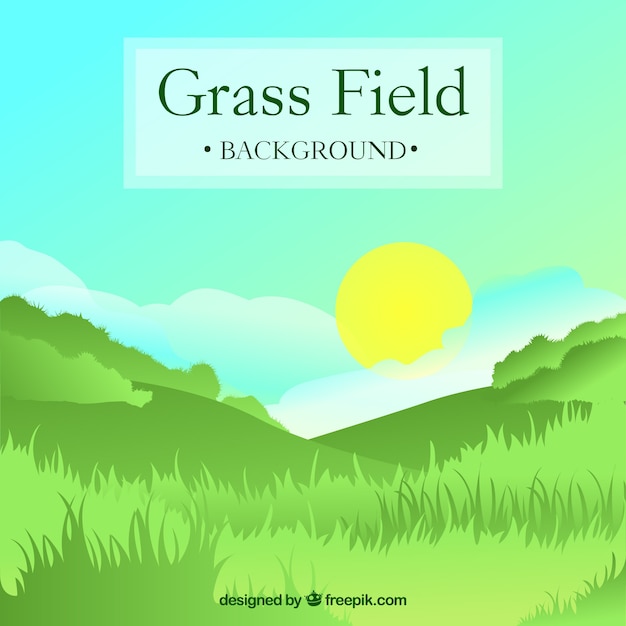 Fantastic background with grass field and\
sun