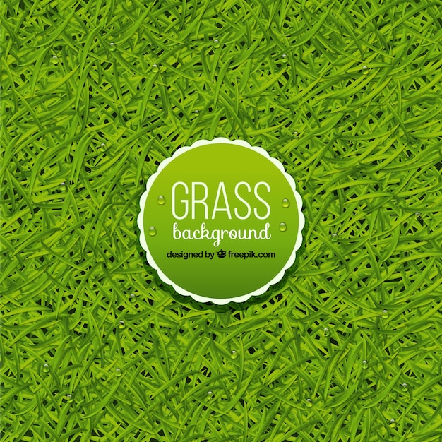Fantastic grass background
