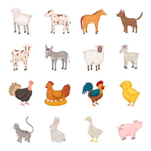 Premium Vector | Farm animal cartoon icon set i