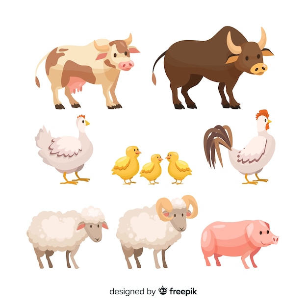 Download Farm animal collection | Free Vector