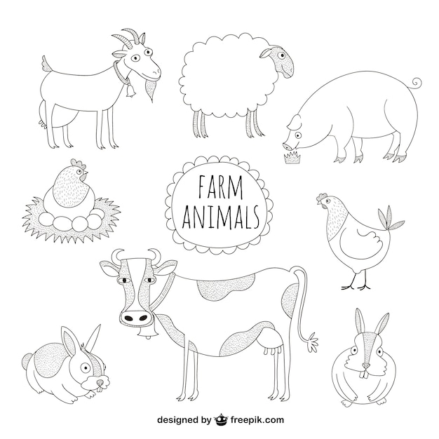 Farm animals illustrations