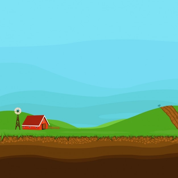Farm Landscape Illustration
