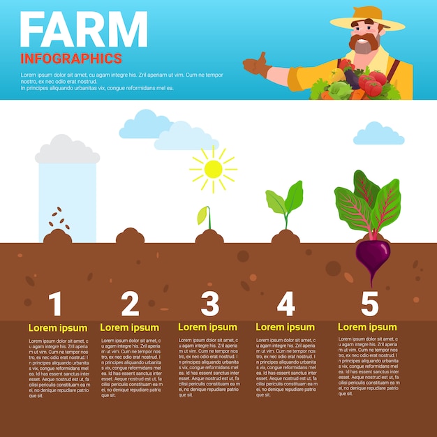 Farming infographics eco friendly organic natural vegetable growth farm ...