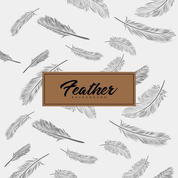 Download Feather background | Premium Vector