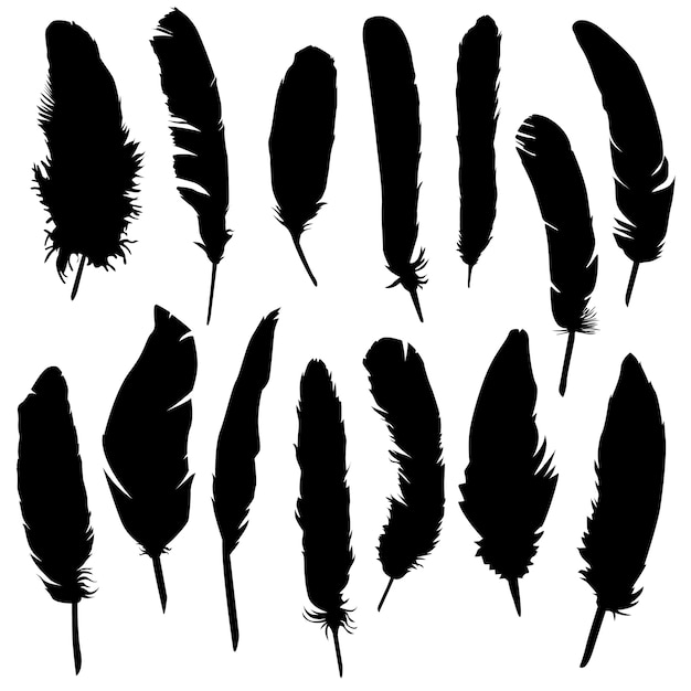 Download Feather bird animal clip art silhouette vector | Premium ...