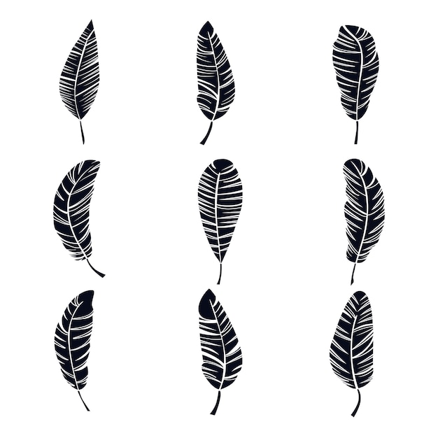 Download Feather icon collection Vector | Premium Download
